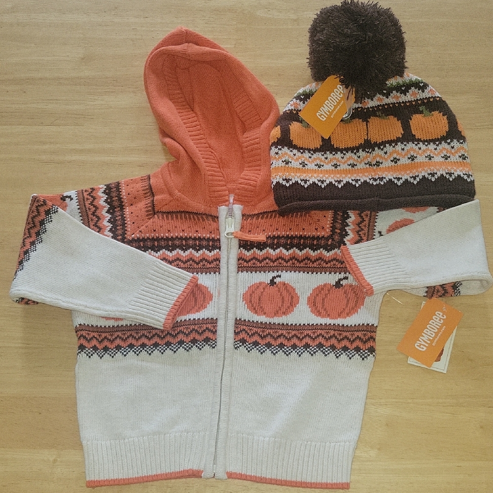 Gymboree Pumpkin Sweater and Hat Set